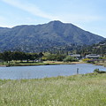 Mount Tamalpais